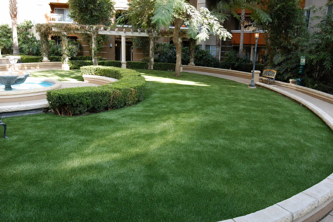 Drought-tolerant turf
